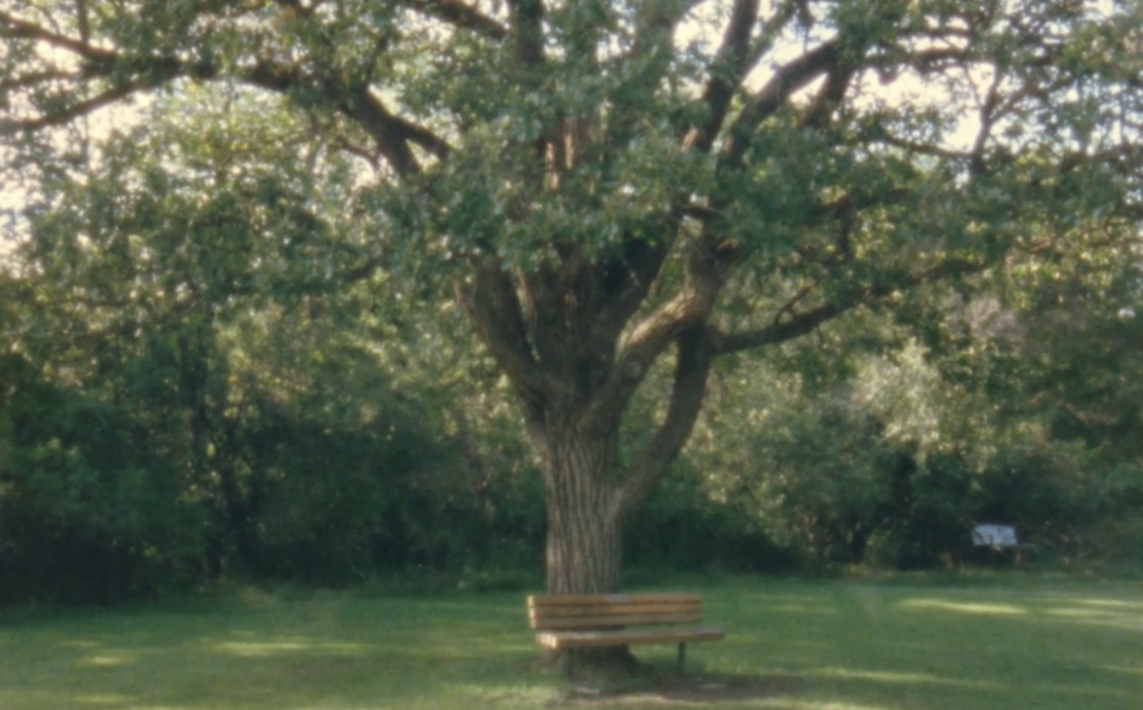 MUNICIPAL RELAXATION MODULE